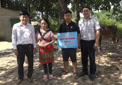 Trao tặng bò giống cho hộ nghèo tại xã Cư Kbang